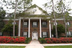 The Ivy House