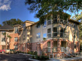 Luxury UF Dorms