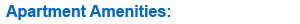 Apartment Amenities