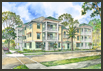 Sabal Palms